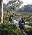 Elephant-Ride-At-Jaldapara-Wildlife-Sanctuary.jpg