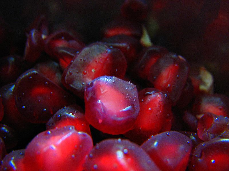 File:Pomegranate-1.jpg