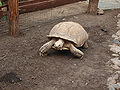 Thumbnail for version as of 07:47, 24 June 2011