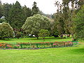 Thumbnail for version as of 08:42, 20 May 2011
