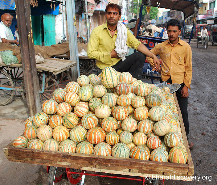File:Cantaloupe-4.jpg