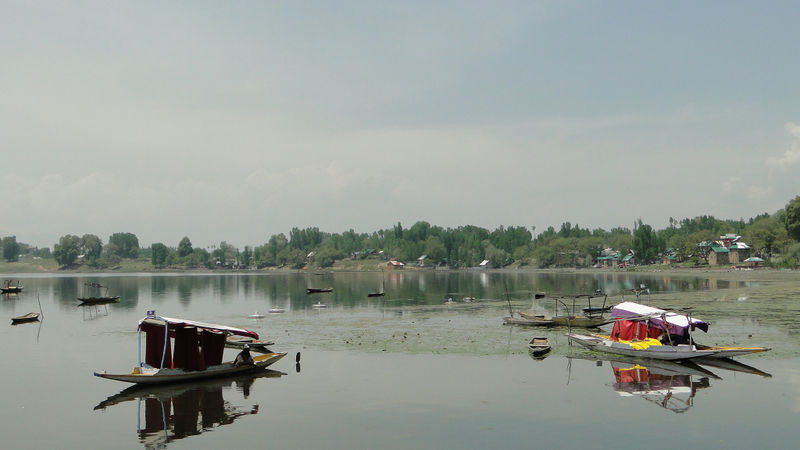File:Shikaras-in-the-lake.jpg