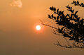 Thumbnail for version as of 07:59, 21 September 2016