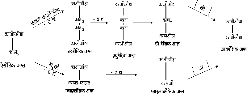 File:Aksalik-Acid.gif