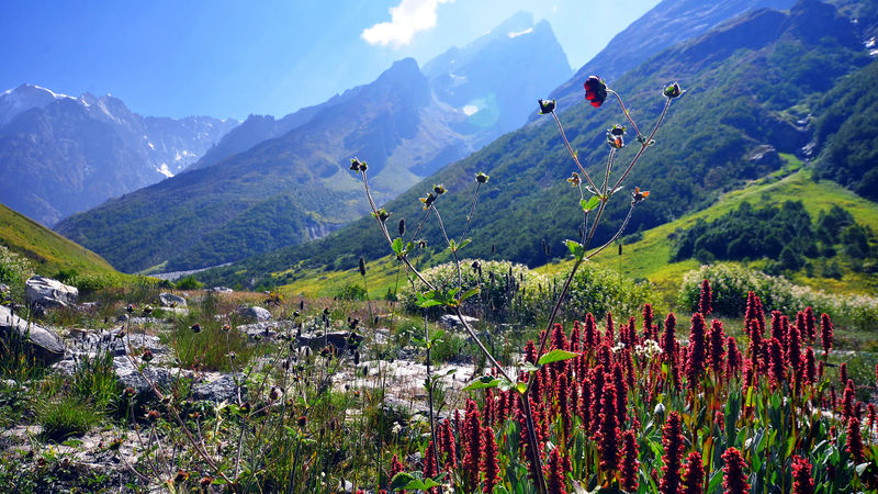 File:Chamoli-5.jpg