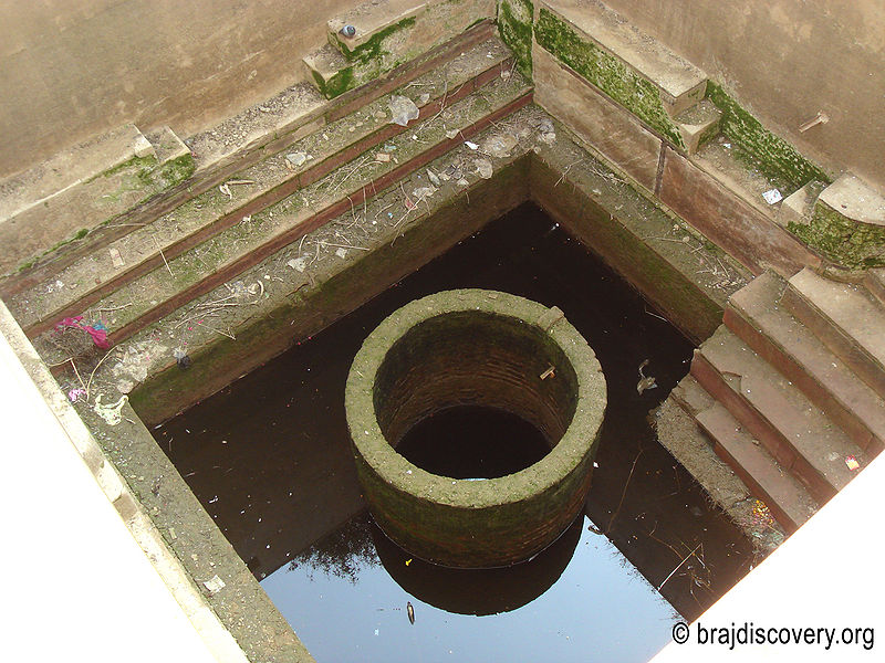 File:Lalita-Kund-Nidhivan-Vrindavan.jpg