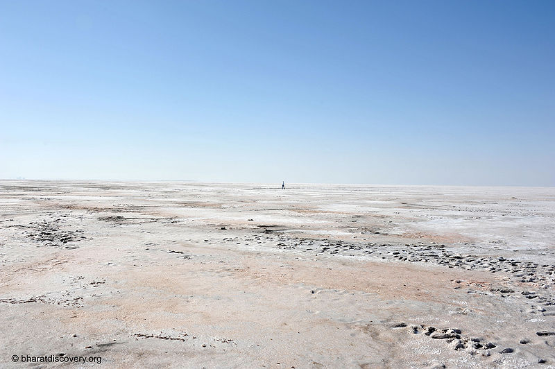 File:Rann-Of-Kachchh-8.jpg