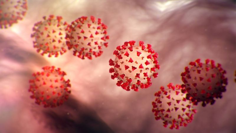 File:Corona-Virus-COVID-19.jpg