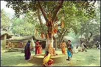 पीपल के वृक्ष का पूजा करते लोग