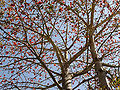 Thumbnail for version as of 09:36, 7 April 2013