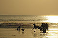 Thumbnail for version as of 09:05, 18 July 2012