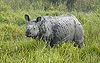 Kaziranga-National-Park-Assam.jpg
