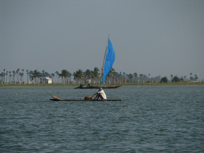File:Pulicat Lake-3.jpg