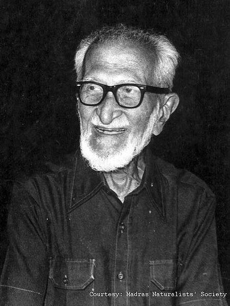 File:Salim-Ali.jpg