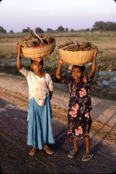 चित्र:Khajuraho-madhya-pradesh.jpg