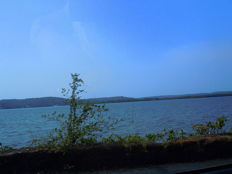 File:Mandovi-River.jpg