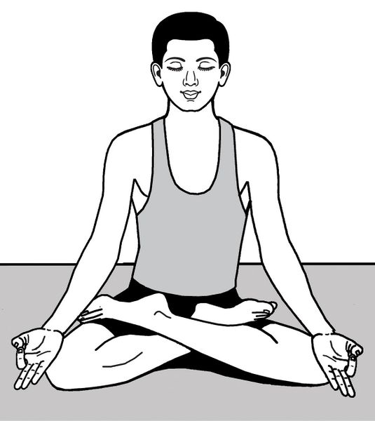चित्र:Padmasana.jpg