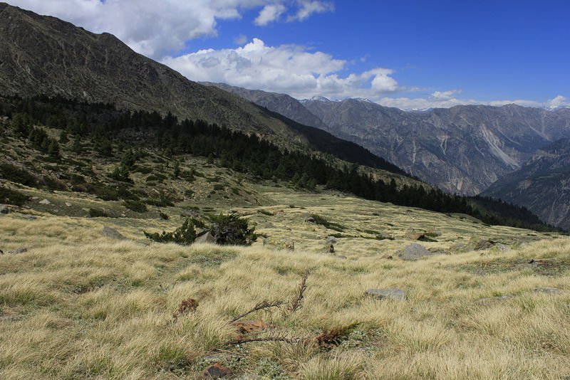 File:Kalpa-5.jpg