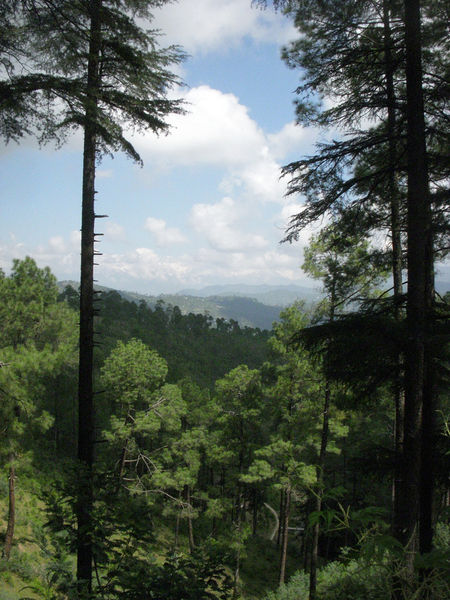 File:Almora-8.jpg