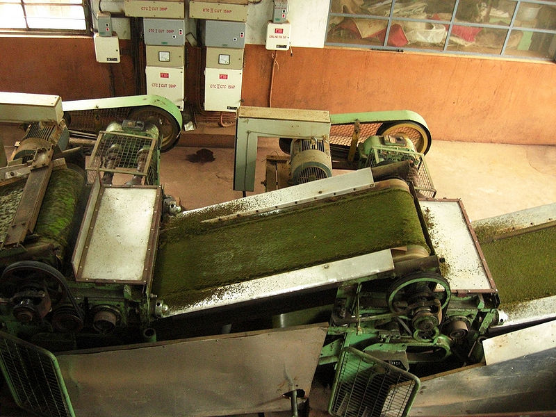 File:Tea-Factory-1.jpg