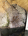 Thumbnail for version as of 06:56, 21 November 2011