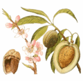 Thumbnail for version as of 12:32, 3 September 2011