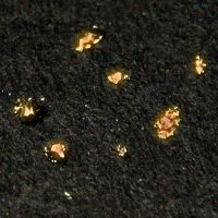 A very small disc of silvery metal, magnified to show its metallic texture