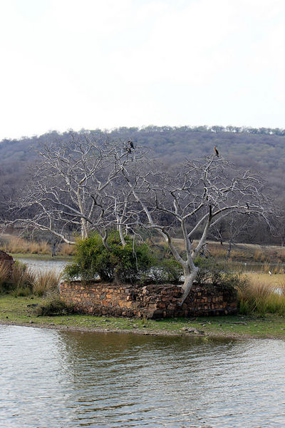 File:Ranthambore-Park-7.jpg