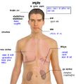 Thumbnail for version as of 05:12, 15 November 2010