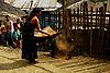 Life-In-Nagaland-2.jpg