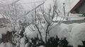 Thumbnail for version as of 08:26, 9 August 2016