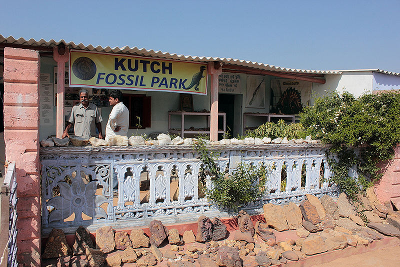 File:Kutch-Fossil-Park.jpg