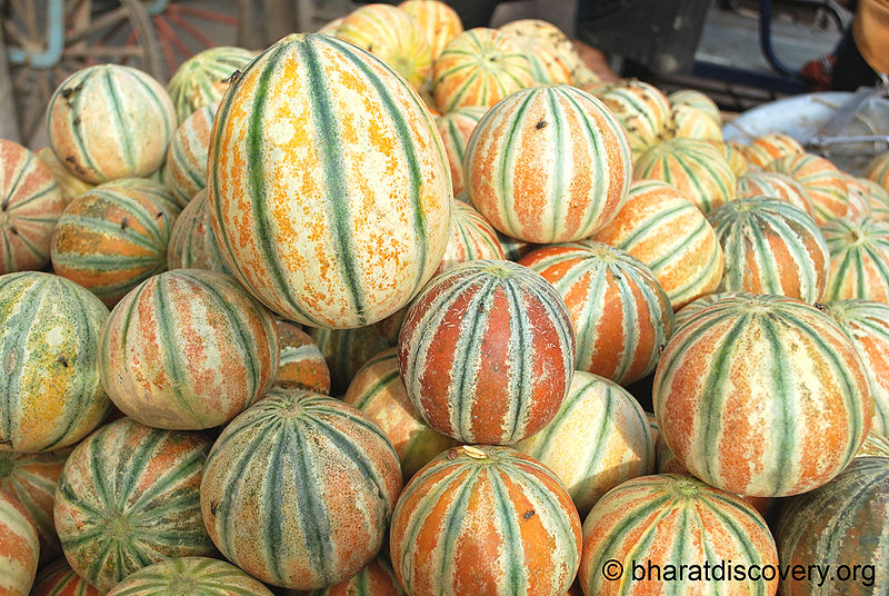 File:Cantaloupe-3.jpg