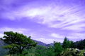 Thumbnail for version as of 08:04, 5 August 2016