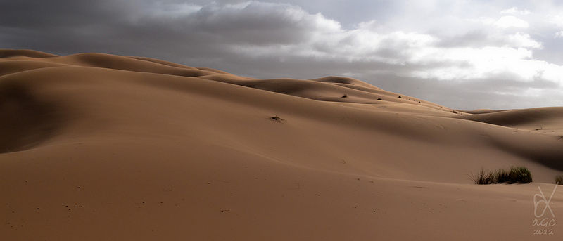 File:Sahara-Desert.jpg