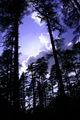 Thumbnail for version as of 08:15, 5 August 2016