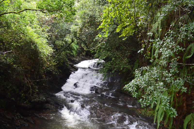 File:Elephant Falls-6.jpg