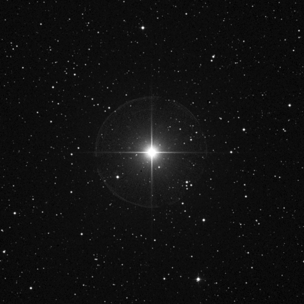 File:Pole-Star.gif