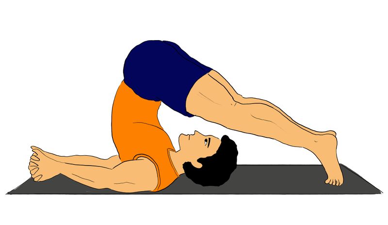 चित्र:Halasana.jpg