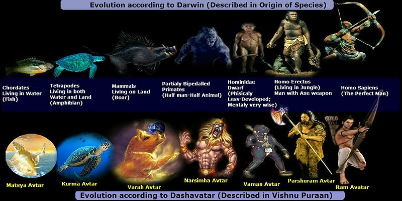 File:Evolution1.jpg