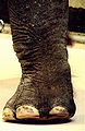 Thumbnail for version as of 07:52, 17 November 2010