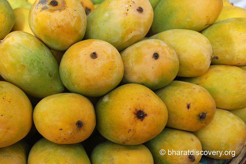 File:Mango-4.jpg