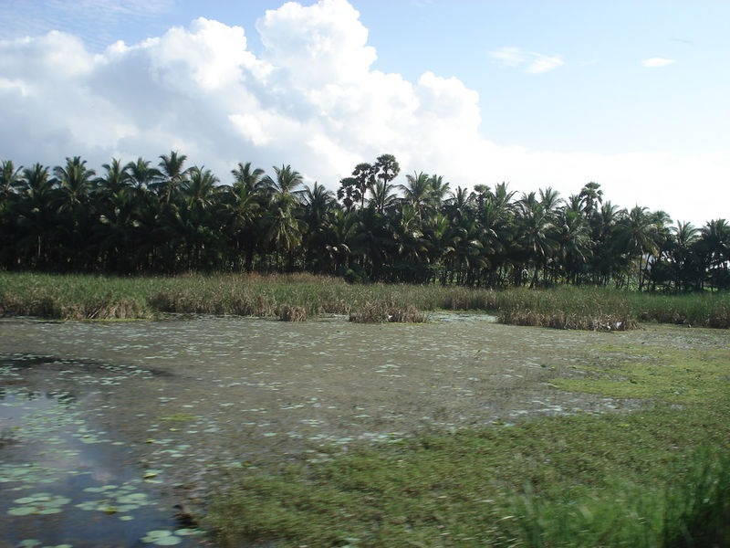 File:Kanyakumari-5.jpg