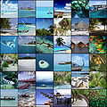 Thumbnail for version as of 11:19, 18 December 2011
