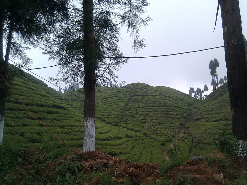 File:Mirik-5.jpg