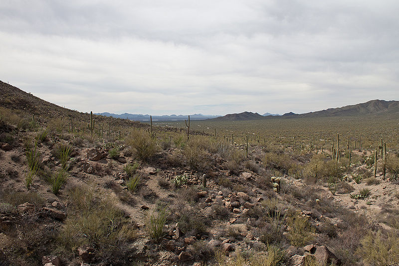File:Sonoran-Desert.jpg