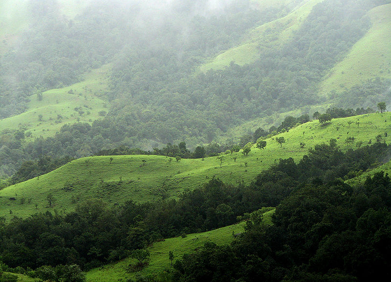 File:Kudremukh.jpg