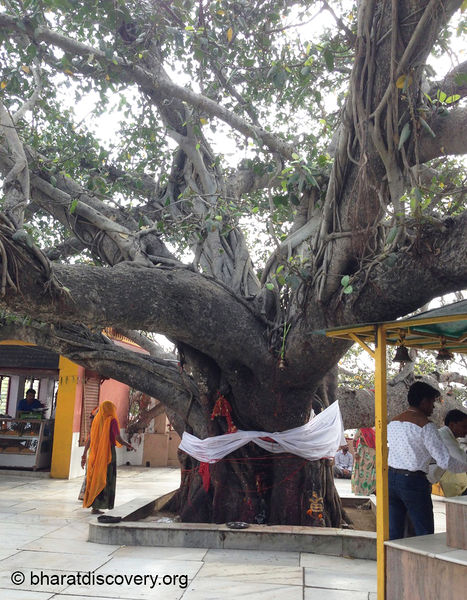 File:Shukrataal-Muzzaffarnagar-3.jpg