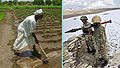 Thumbnail for version as of 07:46, 5 January 2011