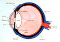 Thumbnail for version as of 07:27, 17 May 2011